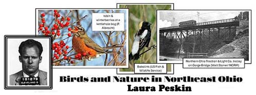Laura Peskin presents Birds and Nature in NEO, 1/9 at 7 pm, St. Jas. Lutheran Church 4771 Broadview